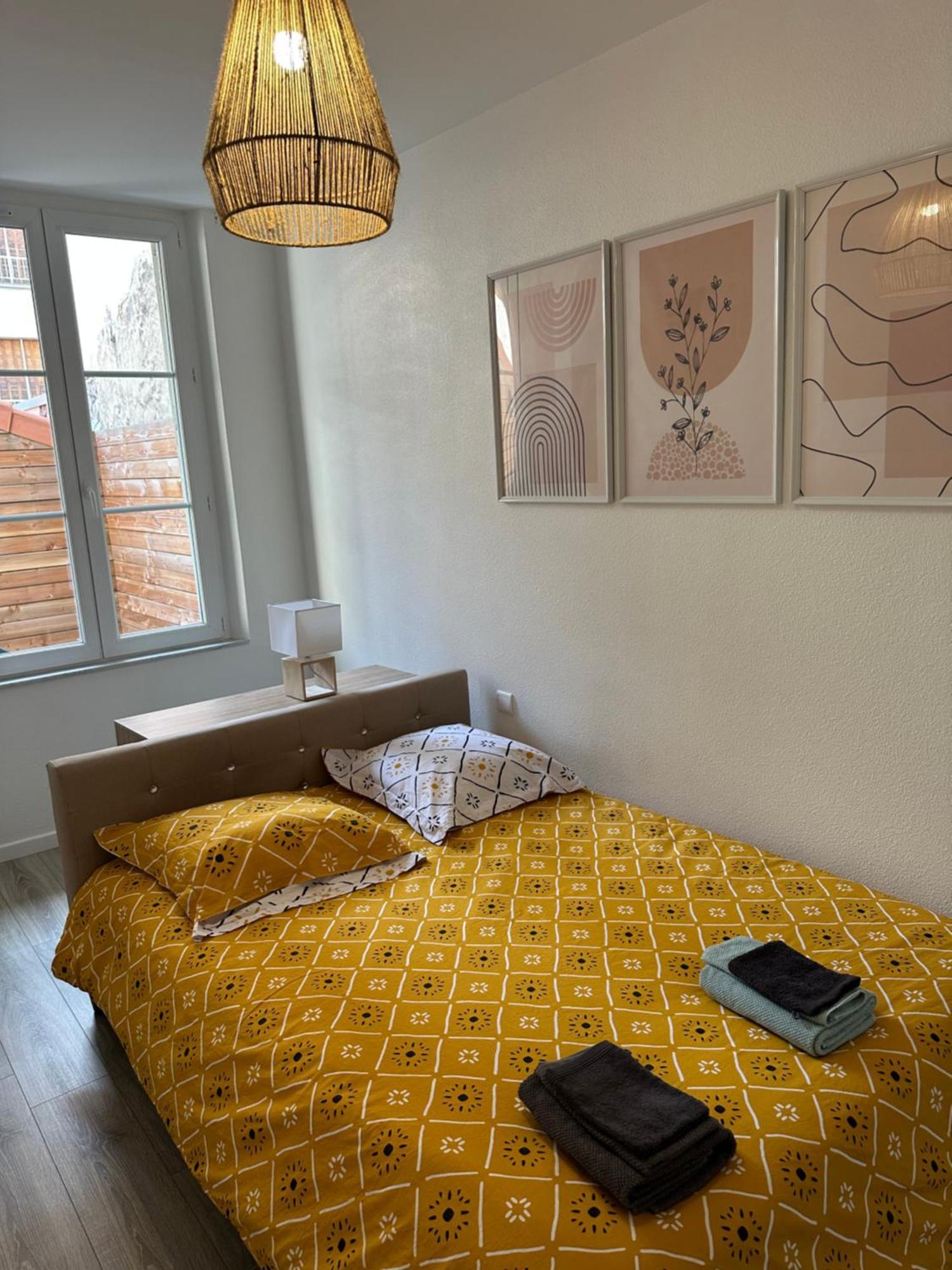 Le Puy-en-Velay Appartement Avec Terrasse Au Puy מראה חיצוני תמונה